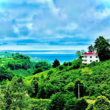 Five Stars * Trabzon