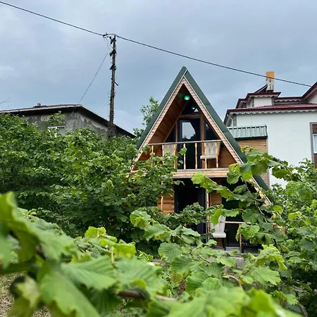 Five Stars ترابزون